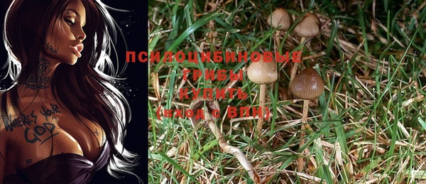наркотики Вяземский