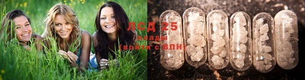 герыч Вязники